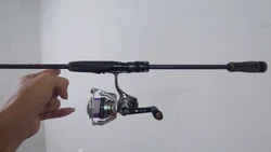 Review image 1