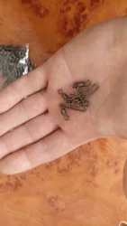 Imagen de reseña 2