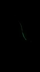 Imagen de reseña 4