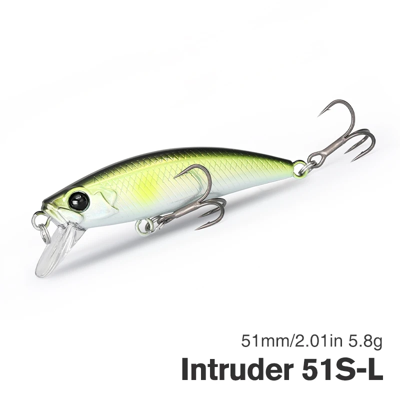 Intruder 51S-L