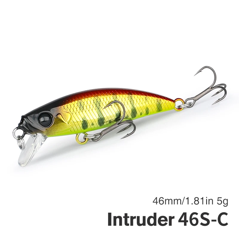 Intruder 46S-C
