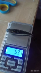 Imagen de reseña 4