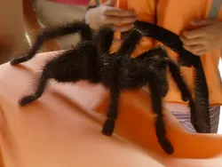 Imagen de reseña 1
