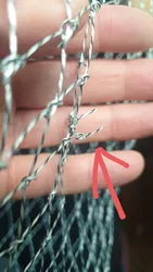 Imagen de reseña 3