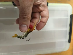 Imagen de reseña 5
