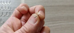 Imagen de reseña 3