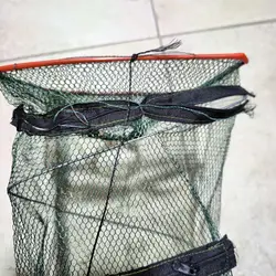 Imagen de reseña 2