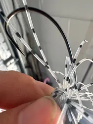 Imagen de reseña 2