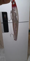 Imagen de reseña 3