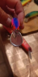 Review image 1