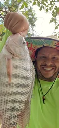 Imagen de reseña 5