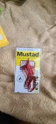 Imagen de reseña 2