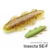 Insecta-F