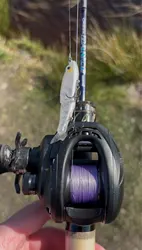 Imagen de reseña 2