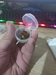 Imagen de reseña 1