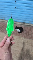 Imagen de reseña 1