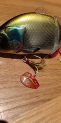 Imagen de reseña 5