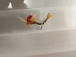 Imagen de reseña 2