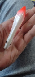 Review image 4