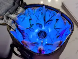Imagen de reseña 2