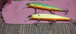 Review image 1