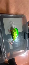 Imagen de reseña 3