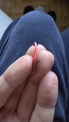 Imagen de reseña 1