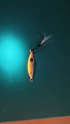 Imagen de reseña 3