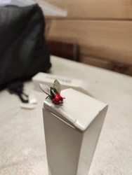 Imagen de reseña 3