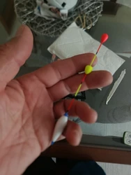 Imagen de reseña 5