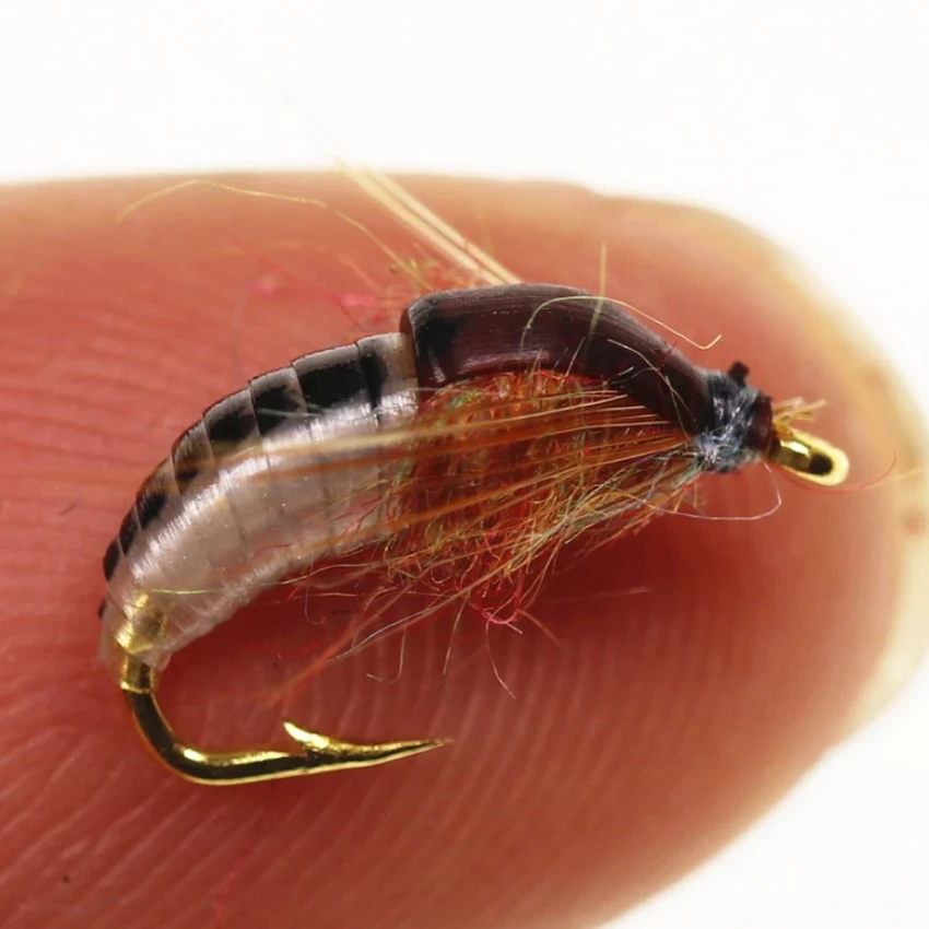 Wifreo-señuelo para pesca de trucha, cebo Artificial de insectos, gusano de atado de moscas realista, 4 piezas - imagen 4