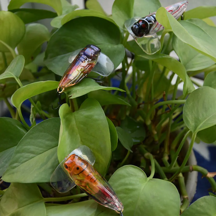 Señuelo duro de cicada para pesca, cebos de plástico duro, aparejos de pesca con mosca, 9g, 1 unidad - imagen 5