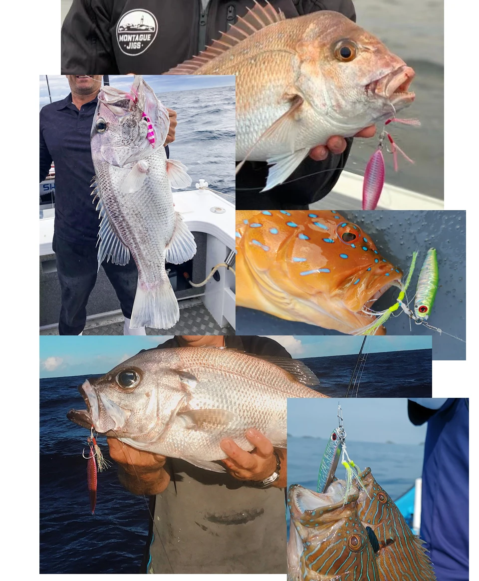 Demostración real - Anzuelos en uso práctico