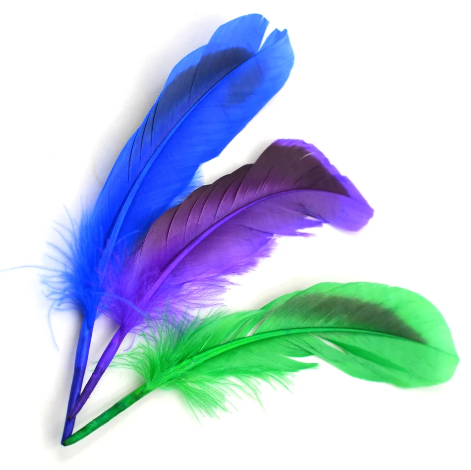 Las plumas coloridas simbolizan la creatividad y la inspiración