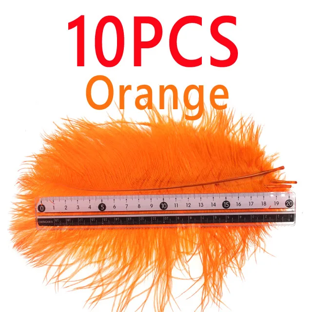 Orange 10PCS