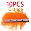 Orange 10PCS
