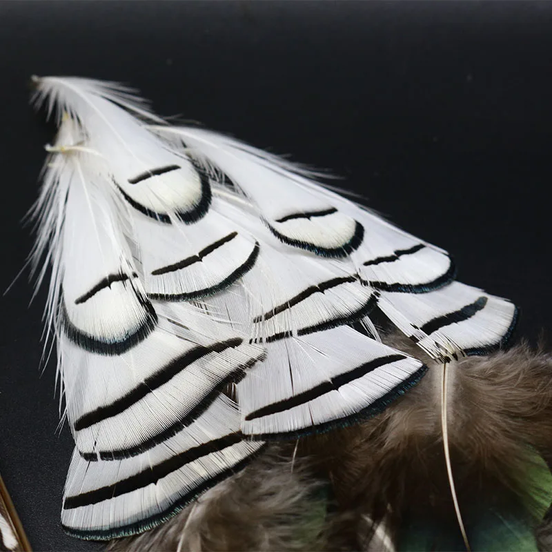 Hot 1set natural Lady Amherst's pheasant feathers assorted LADY AMHERST tippets ¢er tail feather fly tying feather materials - imagen 4