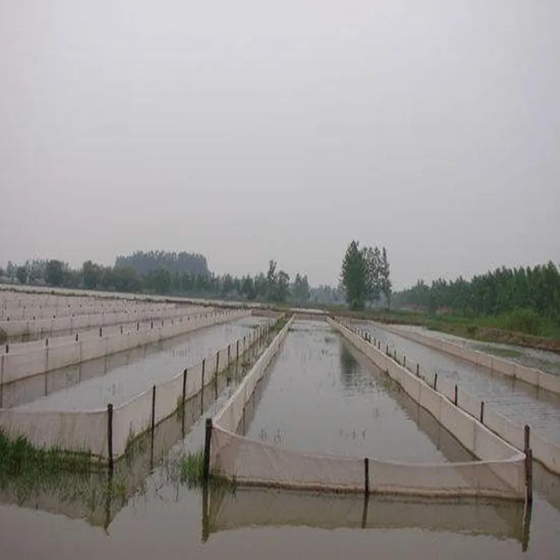 Red De cría multifunción, jaula De pesca, producto De granja, herramienta De incubación De plántulas De peces, red Rede Speca Smal - imagen 5