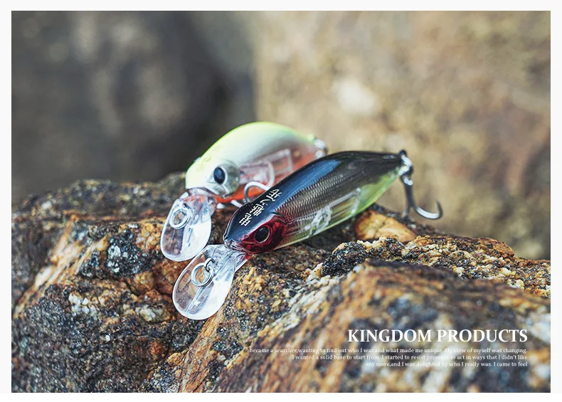 Experimente la emoción de la pesca con nuestros innovadores diseños de cebos