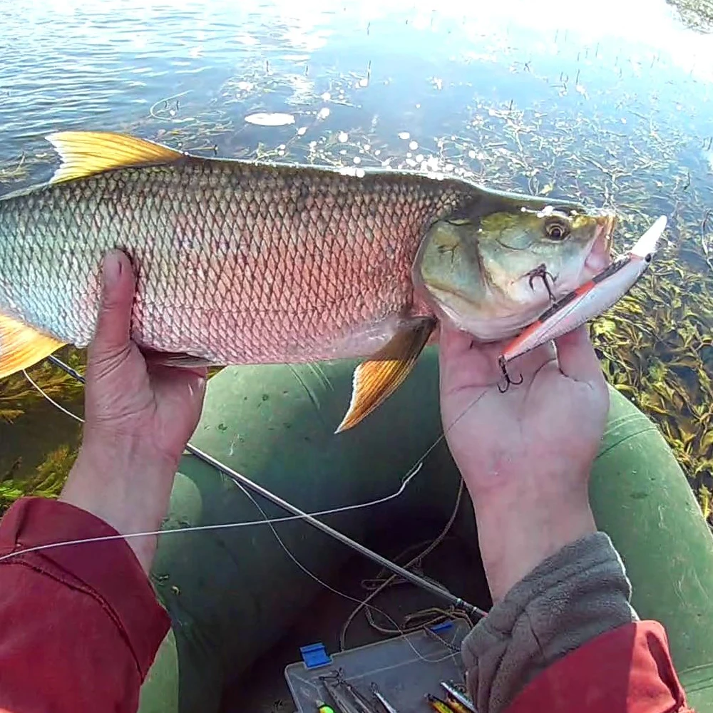 JEKEKU señuelo Minnow flotante con anzuelos - imagen 3