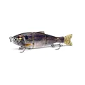Color 2 Swimbait