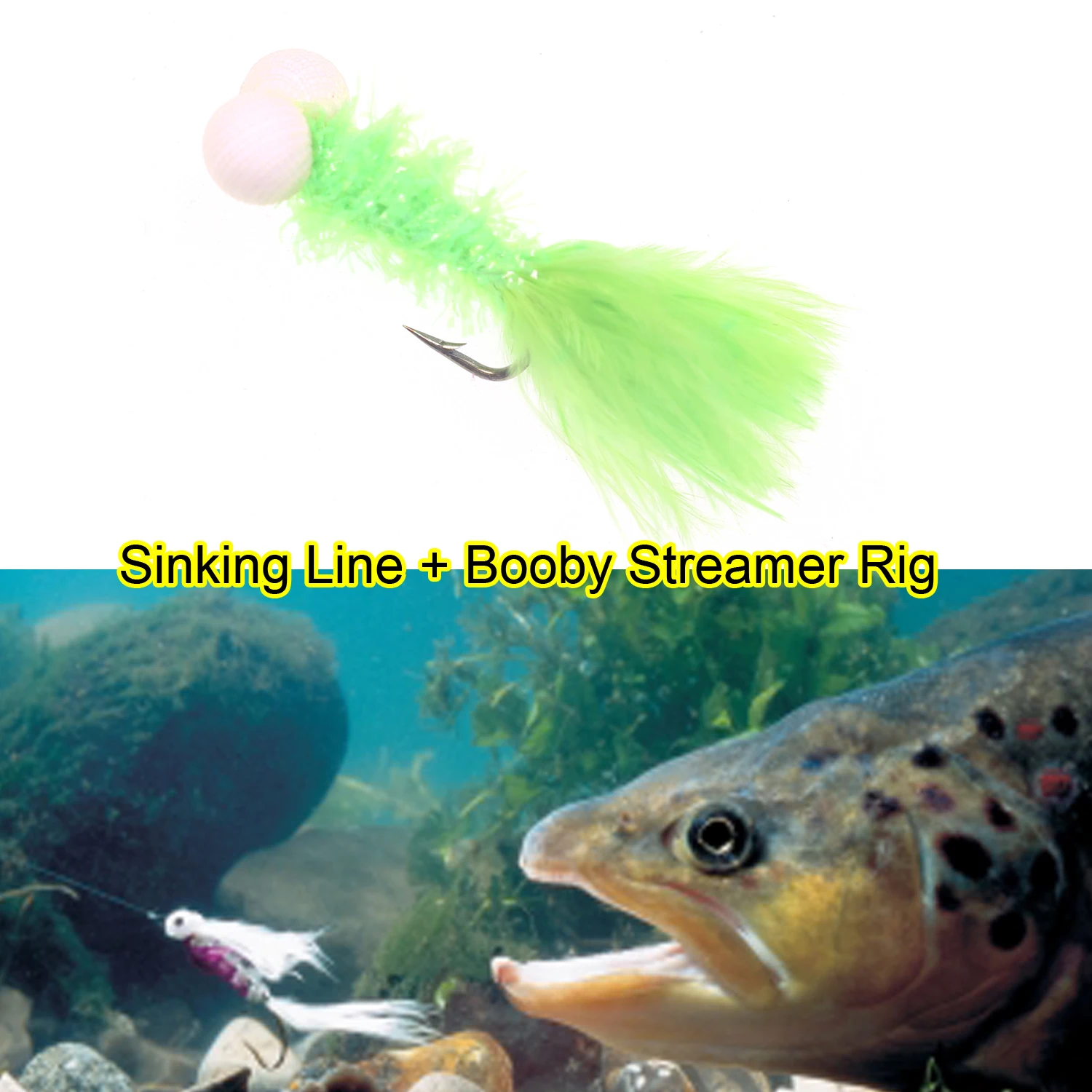 Un pez está mirando un señuelo verde