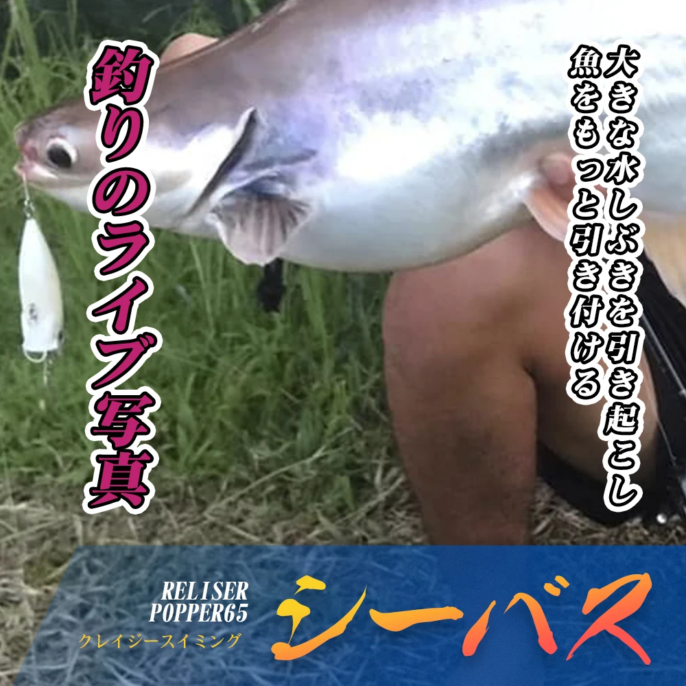 Hunthouse pealis fangpop Popper señuelo de pesca 65mm 8,5g Topwater Poppers señuelo flotante Poper cebo para pescar lubina aparejos flotantes - imagen 5