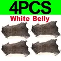4PCS White Belly
