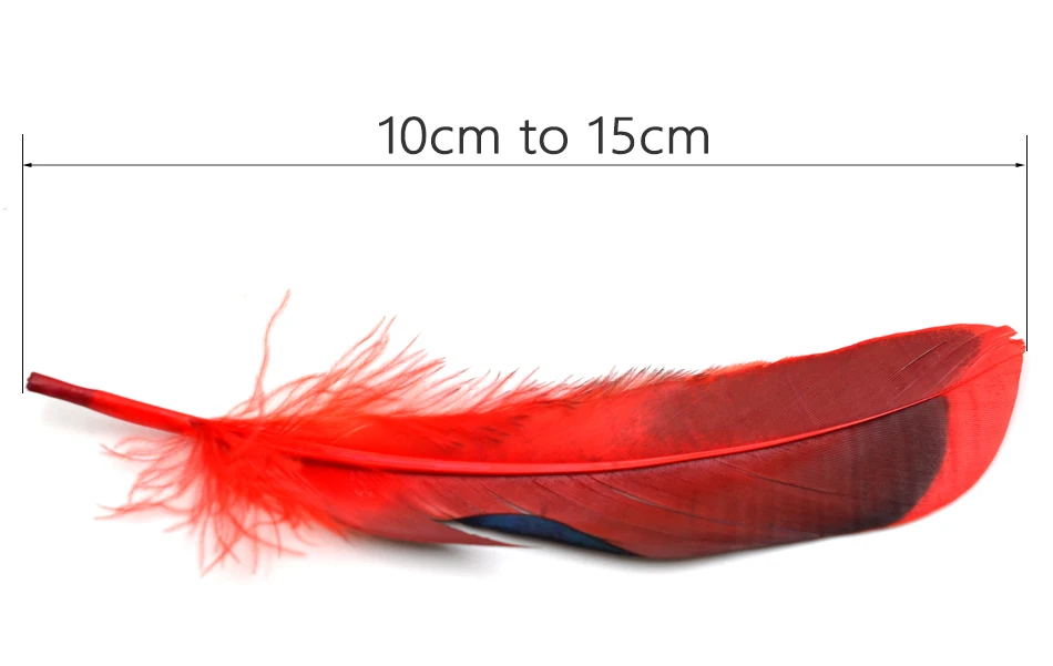 Esta vibrante pluma roja mide de 10 cm a 15 cm que muestra su elegancia y belleza
