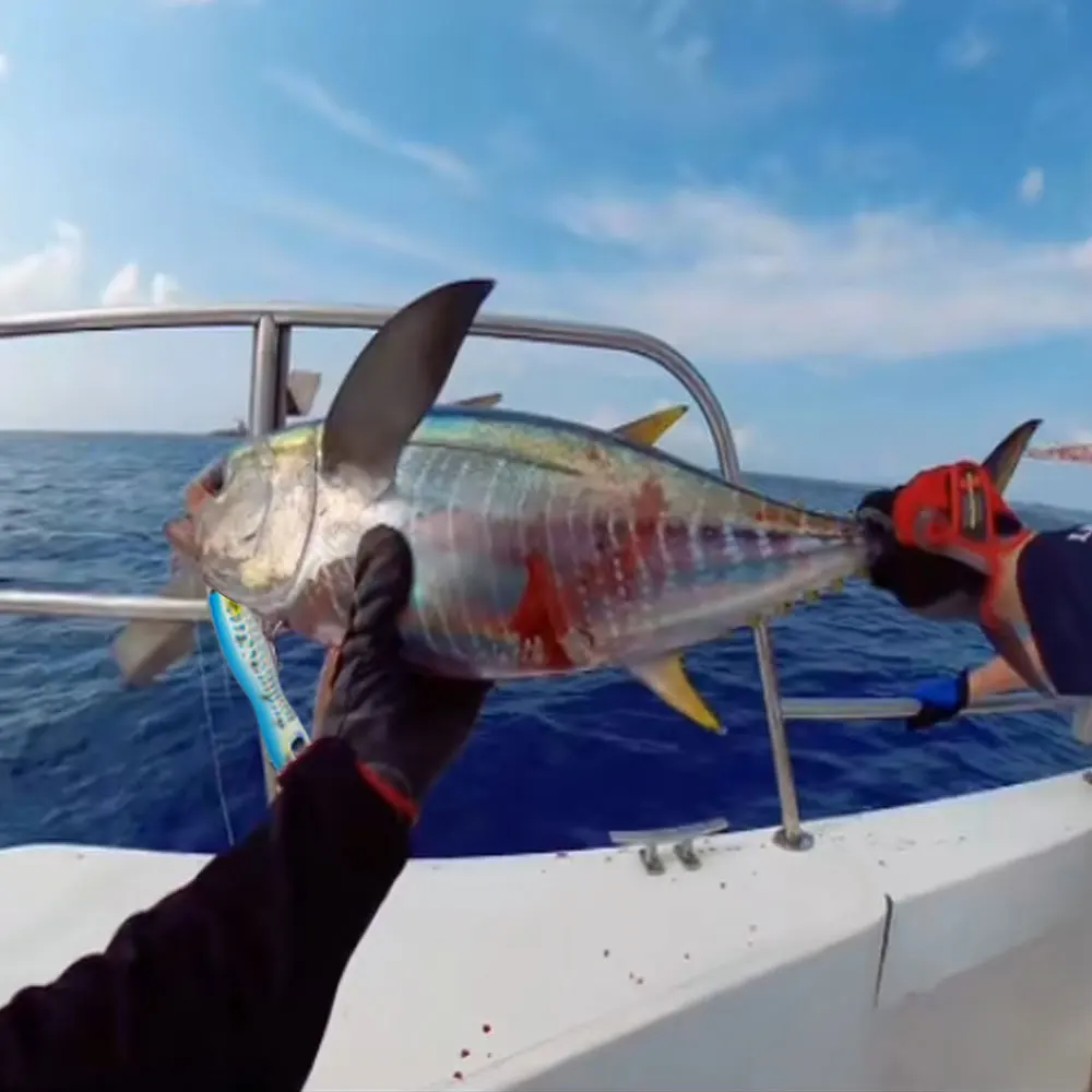 Una persona está sosteniendo un pez en el bote