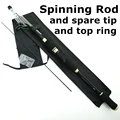 spinning rod