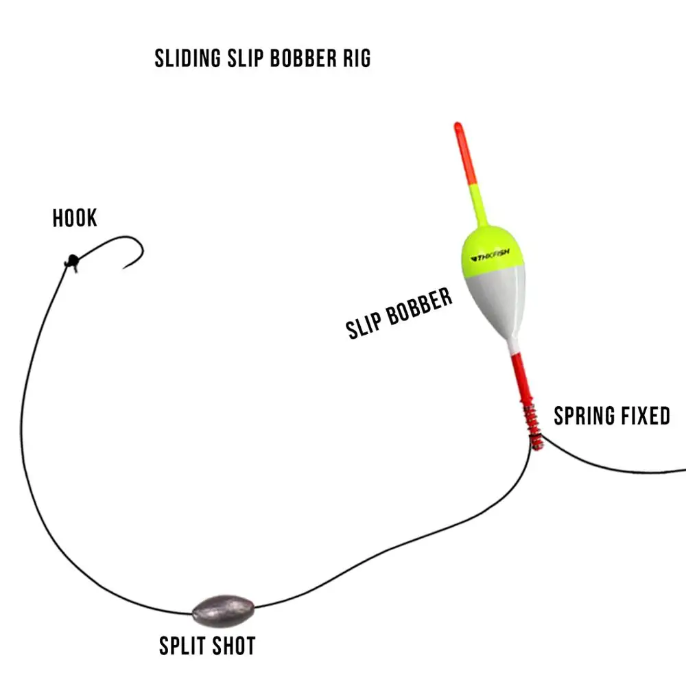 THKFISH, 2 uds., flotadores de pesca, 1 pulgada, 1,25 pulgadas, 2 pulgadas, flotadores de resorte de madera Balsa, boyas, corcho de pesca de mar de agua dulce para Panfish - imagen 3