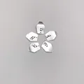 5pcs
