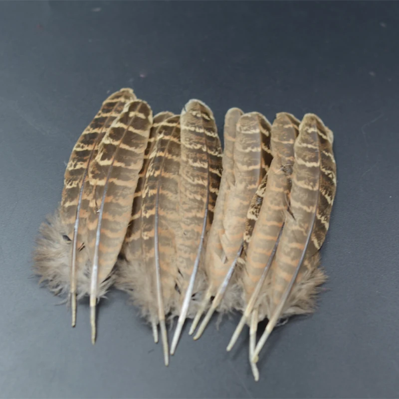 4 estilos opcionales Ringneck pluma de faisán materiales para atar moscas 20 piezas ala de faisán pluma sillín tippet punto blanco pluma del cuerpo - imagen 3